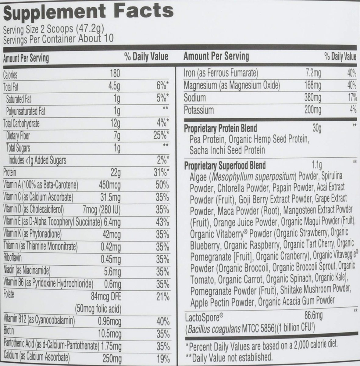 WHOLE FOODS MARKET Chocolate Protein Powder, 18 OZ