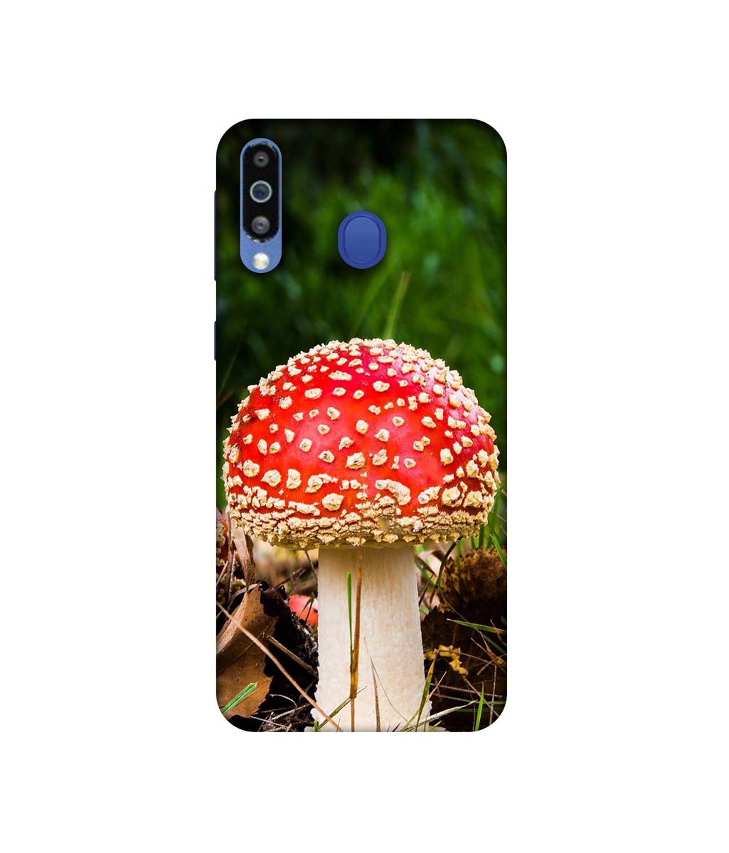 Amazon Brand - Solimo Designer Red Mushroom 3D Printed Hard Back Case Mobile Cover for Samsung Galaxy M21
