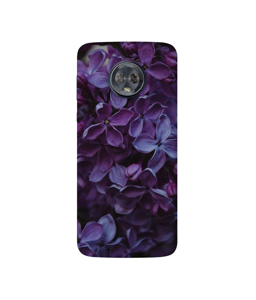 Amazon Brand - Solimo Designer Purple Flowers 3D Printed Hard Back Case Mobile Cover for Motorola Moto G6