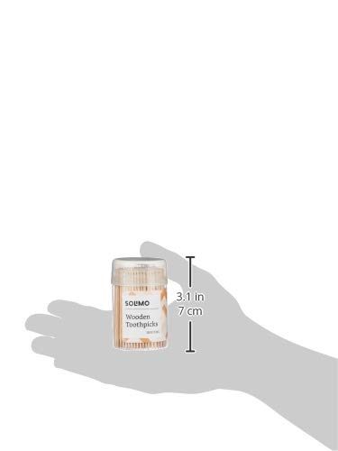 Amazon Brand - Solimo Wooden Toothpicks - 250 Sticks (Pack of 2)