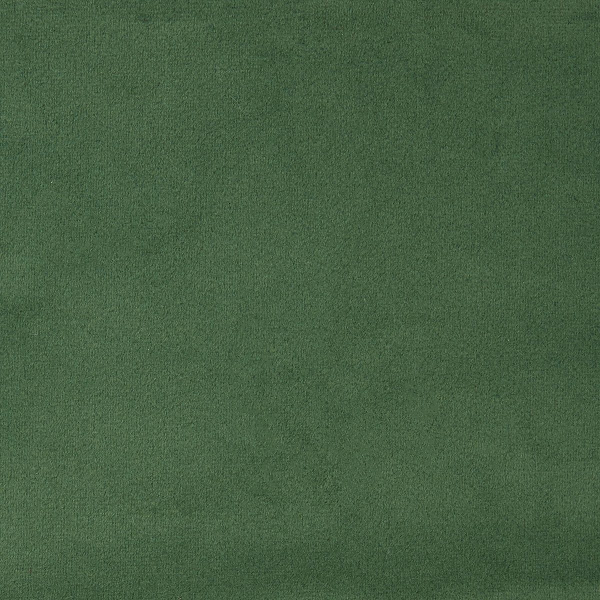 Rivet Stevie Mid-Century Modern Bar Stool, 30"H, Pack of 2, Green