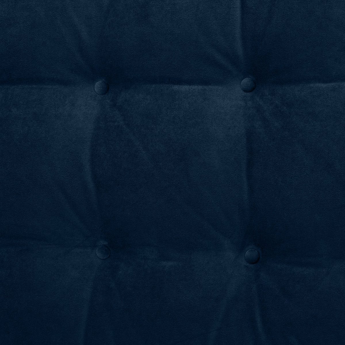 Amazon Brand – Rivet Uptown Mid-Century Modern Tufted Velvet Daybed Loveseat, 78"W, Navy &amp; Silver