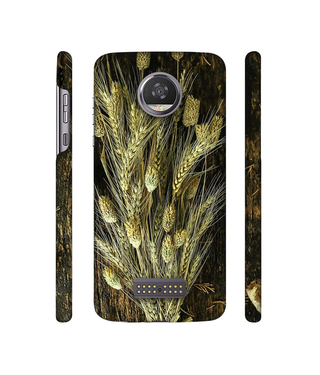 Amazon Brand - Solimo Designer Wheat Plants 3D Printed Hard Back Case Mobile Cover for Moto Z2 Play