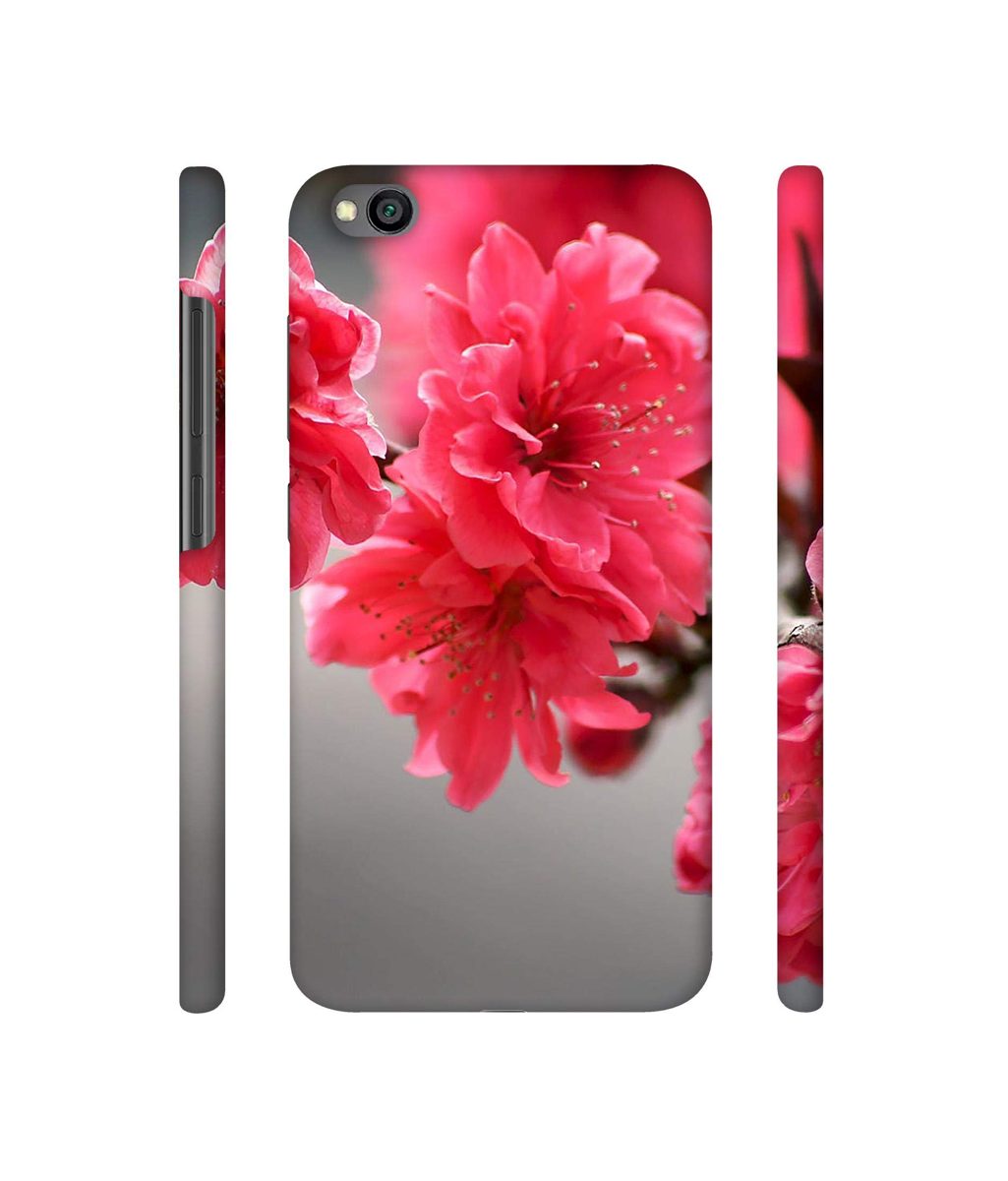 Amazon Brand - Solimo Designer Blossom Like Flower 3D Printed Hard Back Case Mobile Cover for Xiaomi Redmi Go
