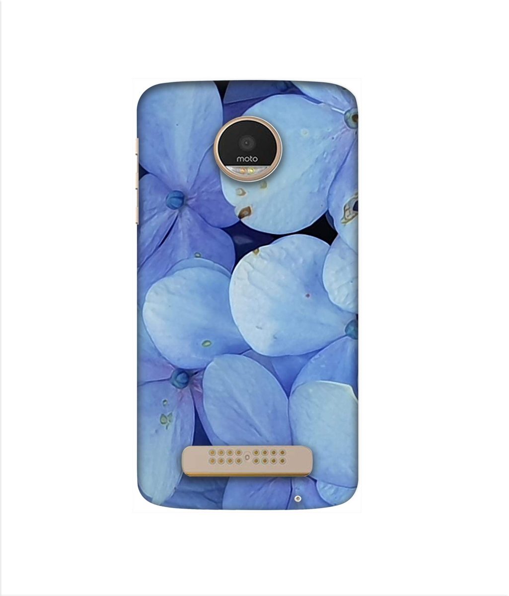 Amazon Brand - Solimo Designer Light Blue Flower Photography 3D Printed Hard Back Case Mobile Cover for Motorola Moto Z Play