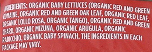 365 Everyday Value, Organic Spring Mix, 4 oz