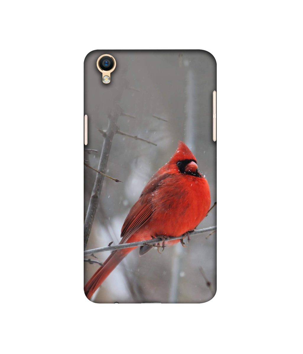 Amazon Brand - Solimo Designer Red Engry Bird 3D Printed Hard Back Case Mobile Cover for Oppo F1 Plus