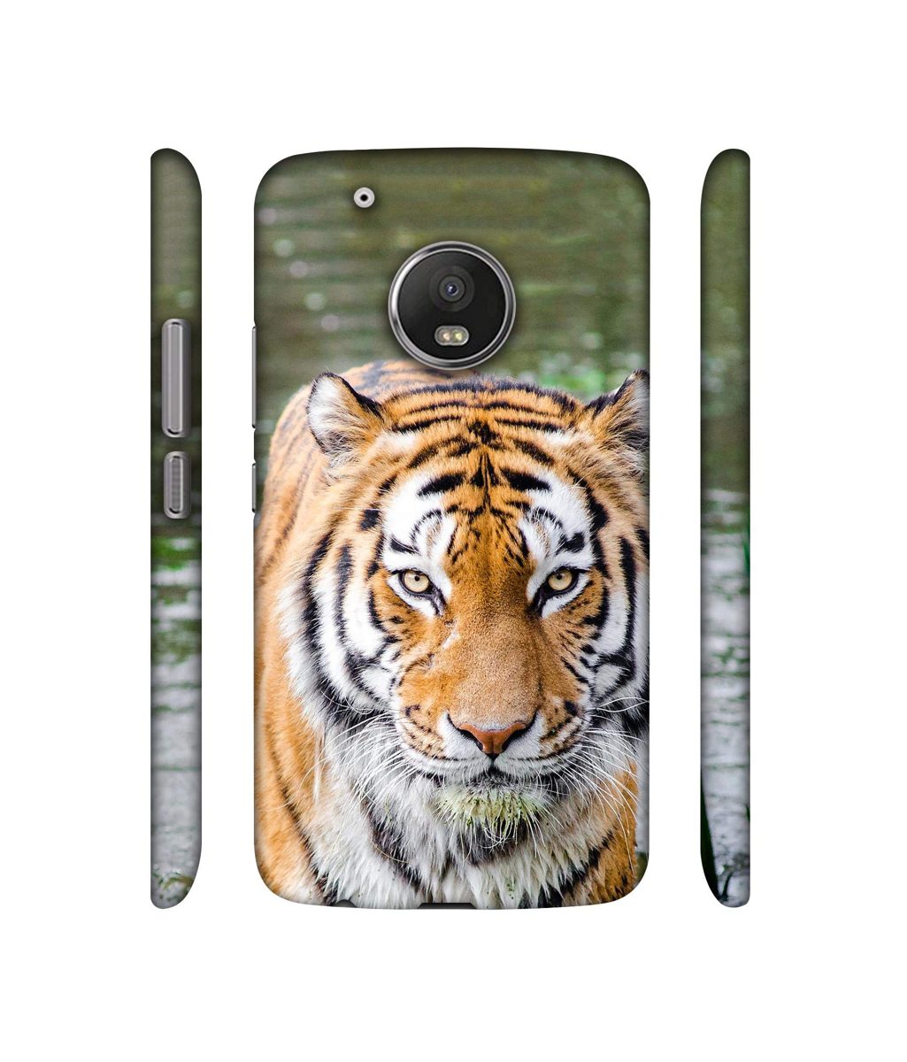 Amazon Brand - Solimo Designer Tiger in Water 3D Printed Hard Back Case Mobile Cover for Motorola Moto G5