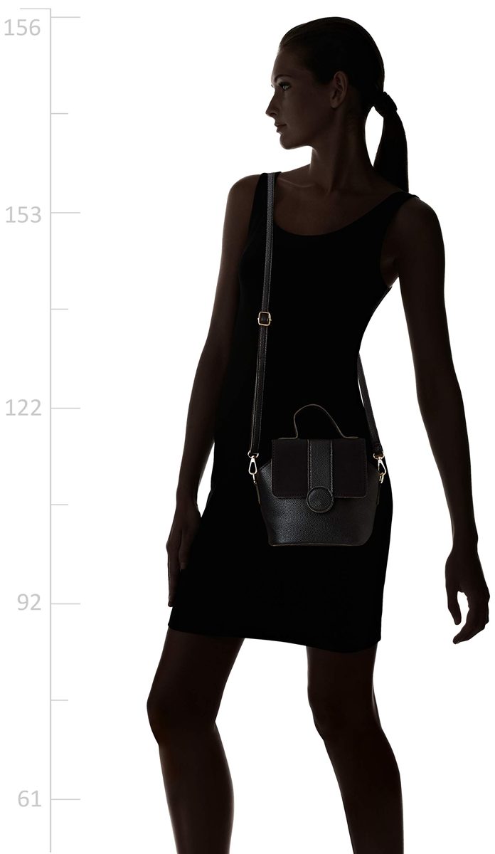 Flavia Women's Handbag (Black)