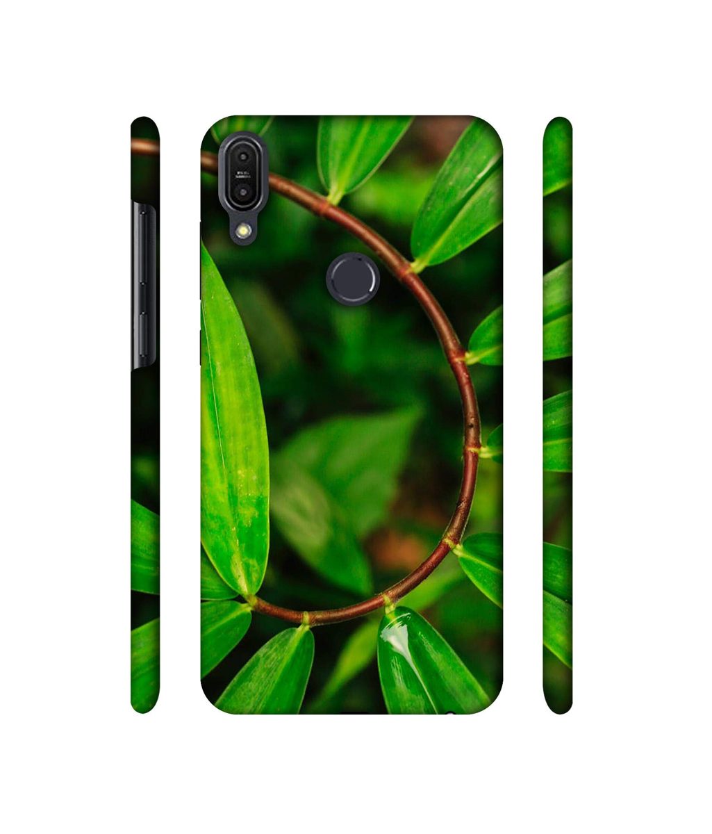Amazon Brand - Solimo Designer Leaf Photography 3D Printed Hard Back Case Mobile Cover for Asus Zenfone Max Pro M1 ZB601KL