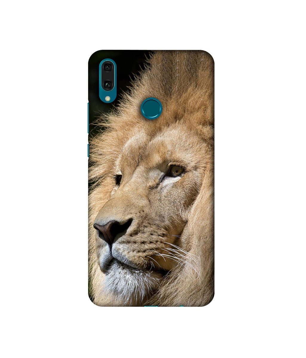 Amazon Brand - Solimo Designer Lion 3D Printed Hard Back Case Mobile Cover for Huawei Y9 (2019)