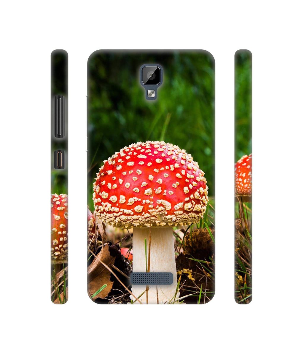 Amazon Brand - Solimo Designer Red Mushroom 3D Printed Hard Back Case Mobile Cover for Gionee P7 Max