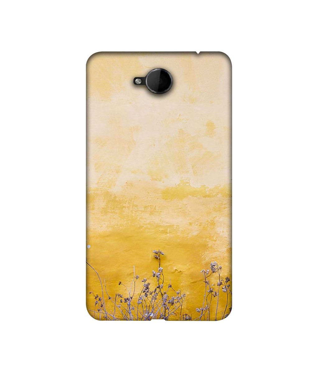 Amazon Brand - Solimo Designer Dry Flower On Wall 3D Printed Hard Back Case Mobile Cover for Microsoft Lumia 650