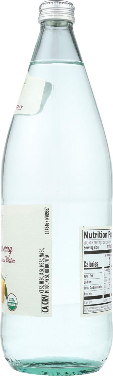 Whole Foods Market Italian Sparkling Mineral Water, Watermelon, 33.8 fl oz