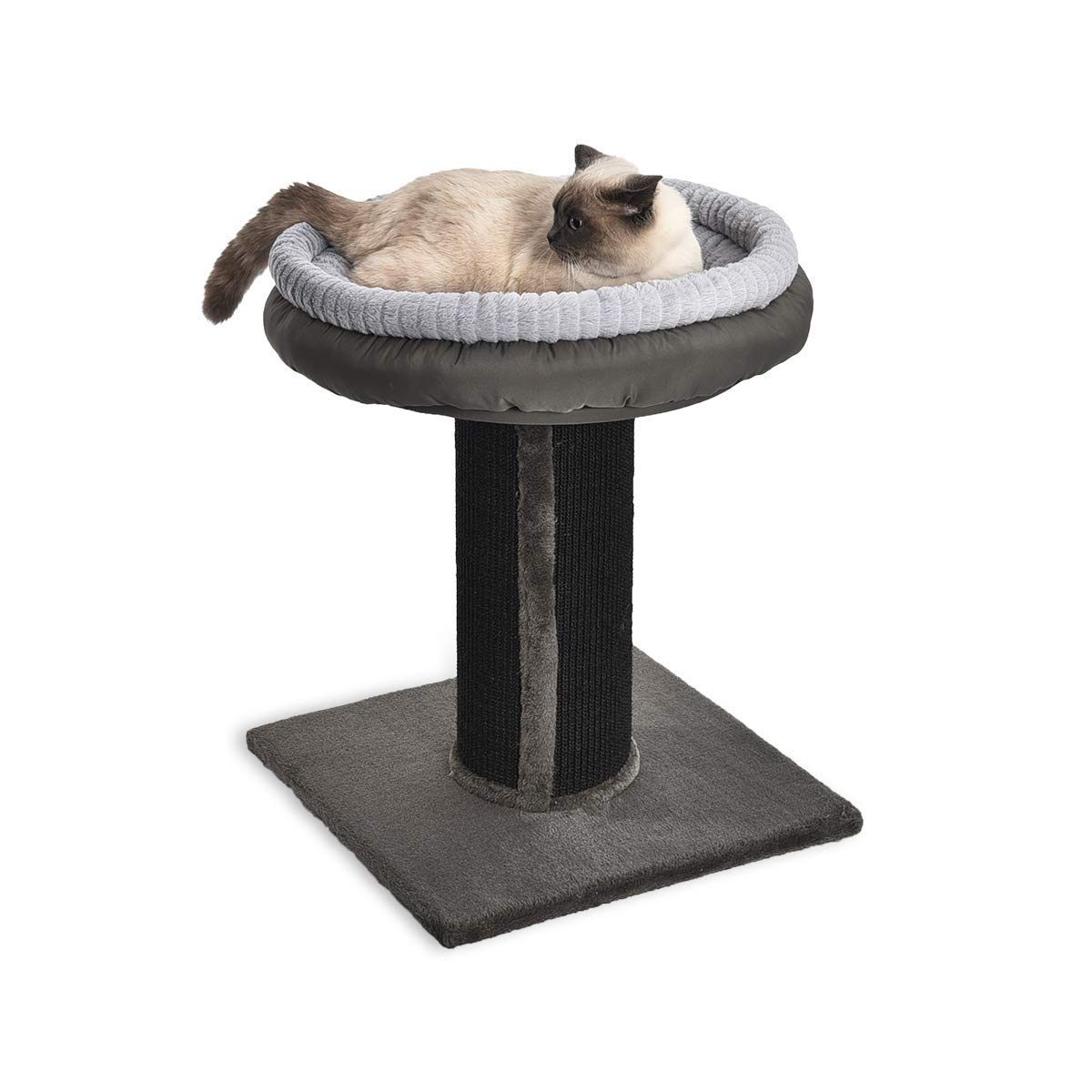 AmazonBasics Cat Scratching Post, X-Large (Renewed)