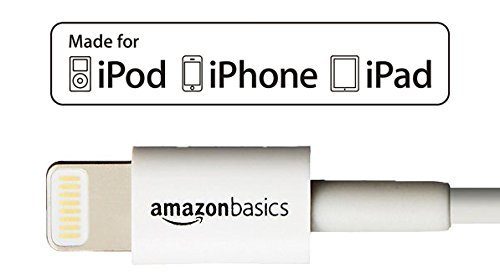 Otterbox Defender Series Case for iPhone 6 and AmazonBasics Lightning Cable (6-Feet) Pack