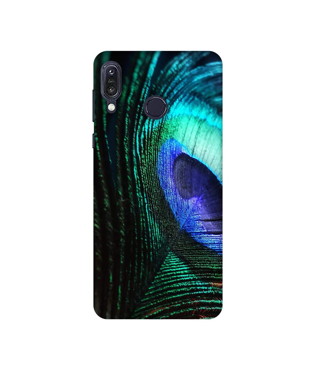 Amazon Brand - Solimo Designer Peacock Feather 3D Printed Hard Back Case Mobile Cover for Asus Zenfone Max M1 ZB555KL