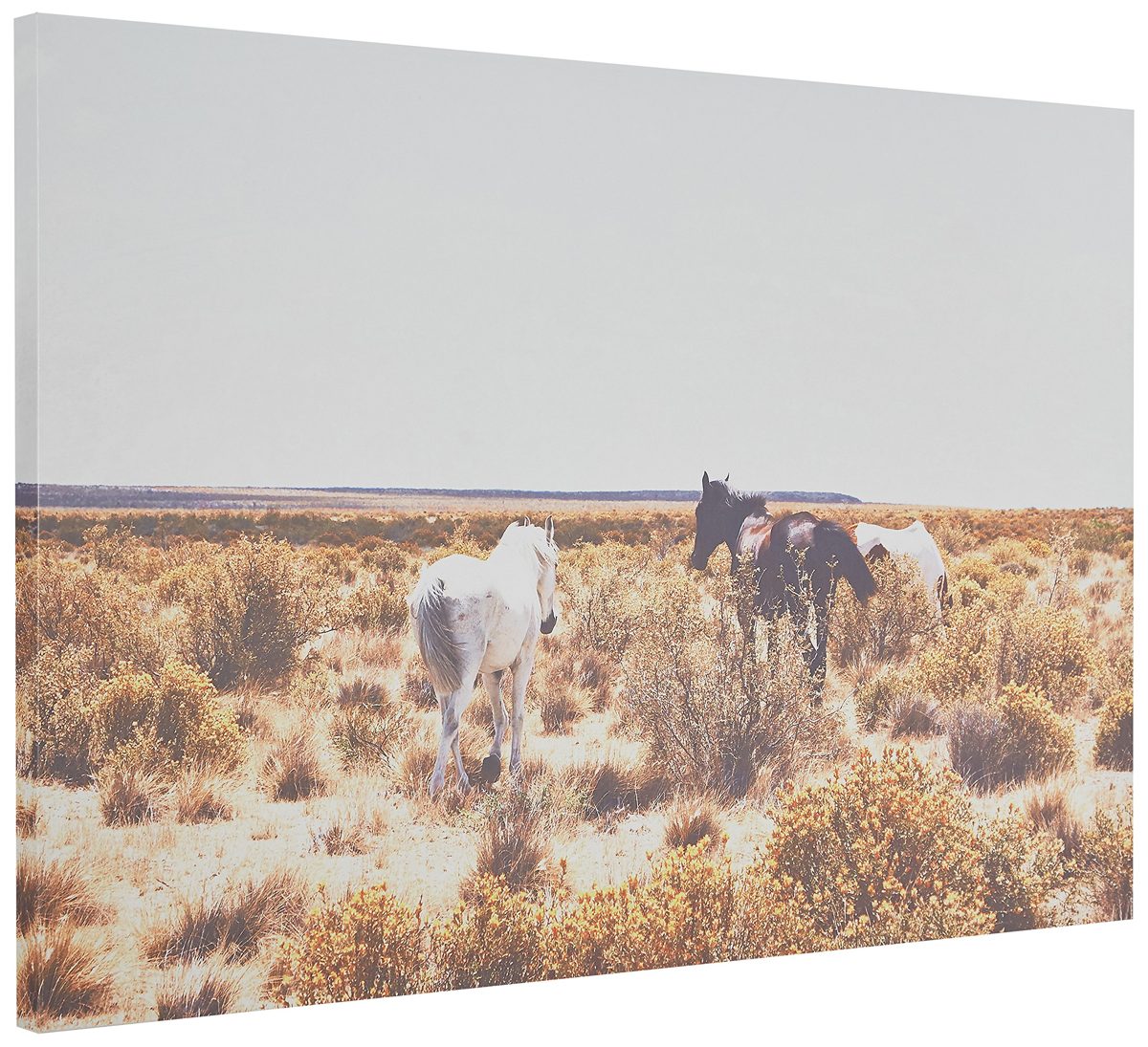 Amazon Brand – Rivet Canvas Print of Horses Grazing in Desert Southwest, 36" x 24"