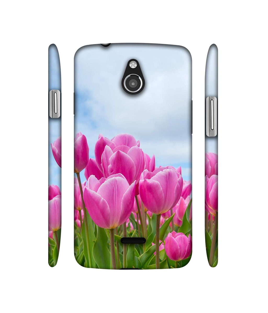 Amazon Brand - Solimo Designer Pink Lily 3D Printed Hard Back Case Mobile Cover for InFocus M2