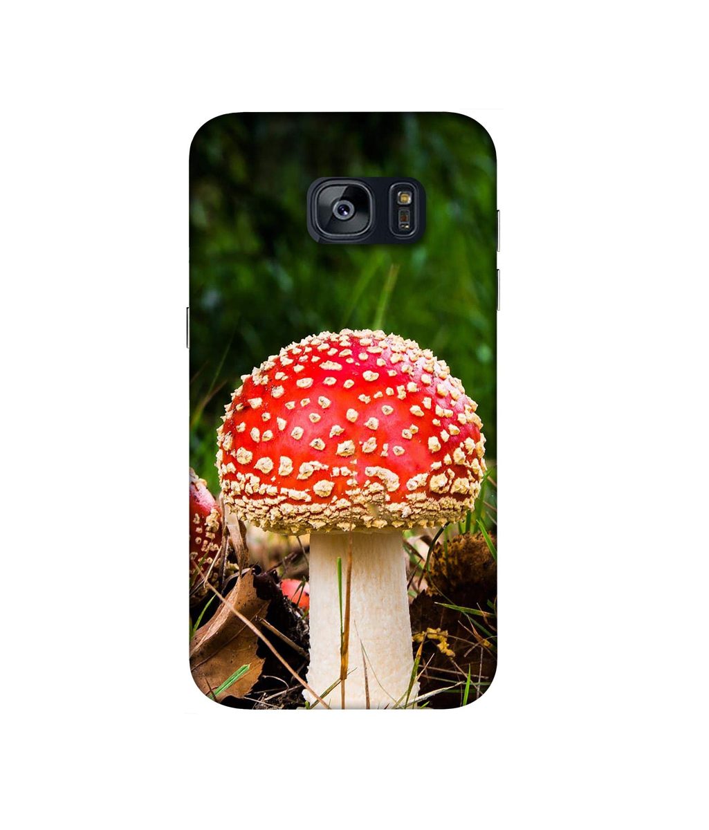 Amazon Brand - Solimo Designer Red Mushroom 3D Printed Hard Back Case Mobile Cover for Samsung Galaxy S7 Edge