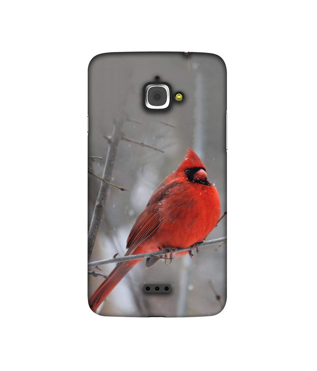 Amazon Brand - Solimo Designer Red Engry Bird 3D Printed Hard Back Case Mobile Cover for InFocus M350