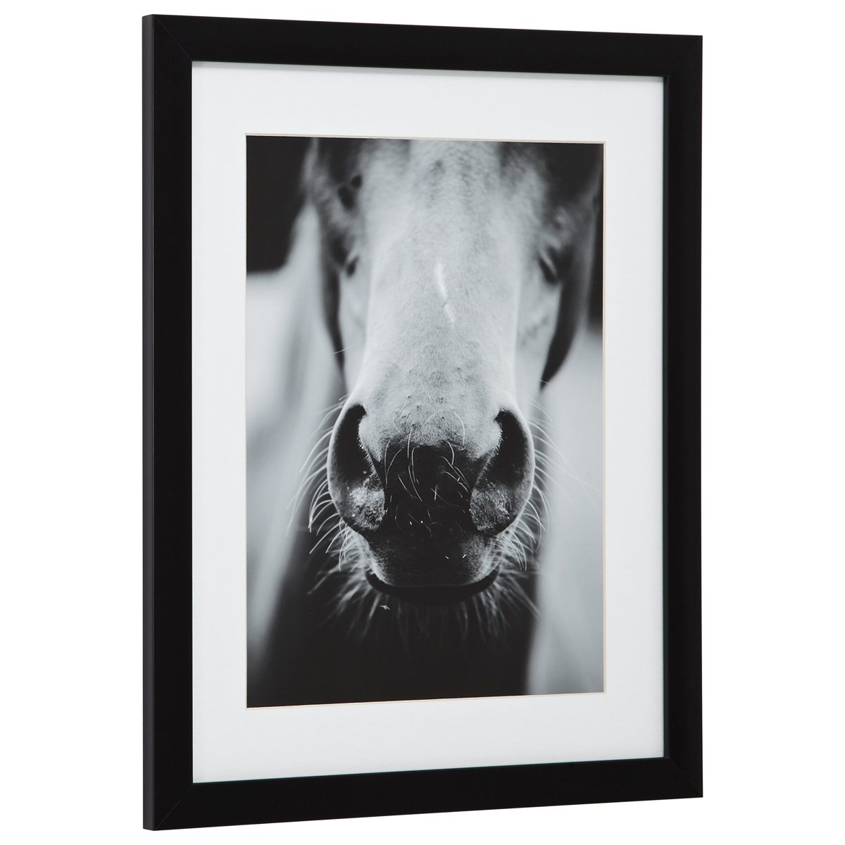 Amazon Brand – Stone & Beam Modern Black and White Horse Nose Photo Framed Wall Art Decor - 18" x 22" Frame, Black