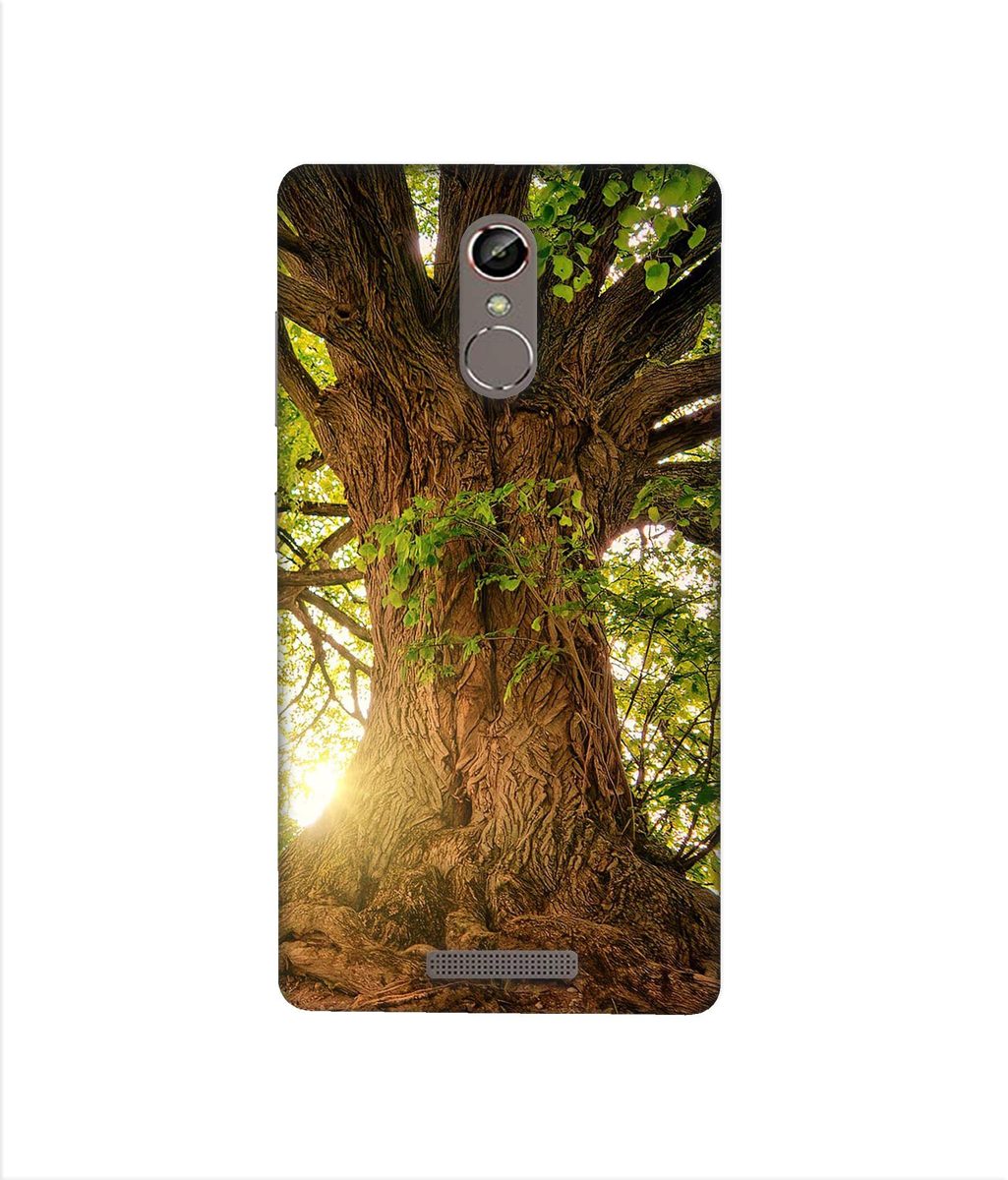 Amazon Brand - Solimo Designer Tree Trunk 3D Printed Hard Back Case Mobile Cover for Gionee S6s