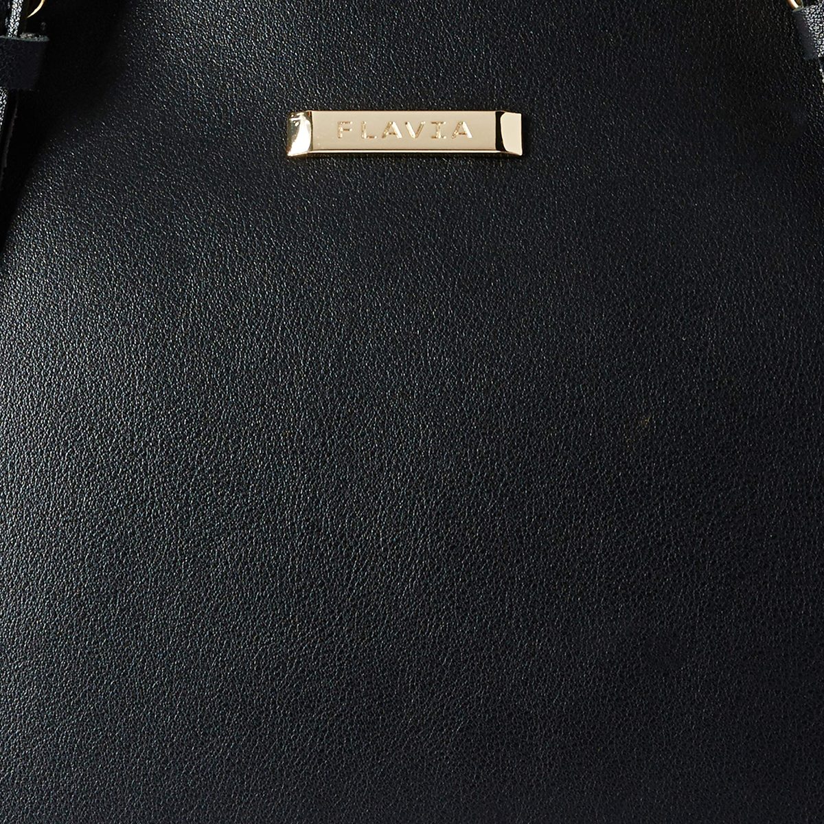 Flavia Women's Handbag (Black)