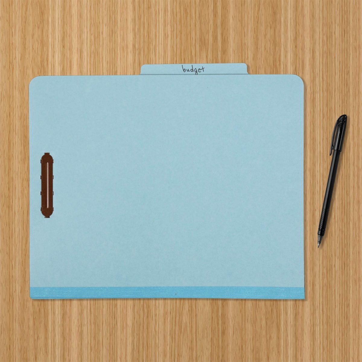 AmazonBasics 100% Recycled Classification Folder with 1 Divider 5cm Embedded, light blue