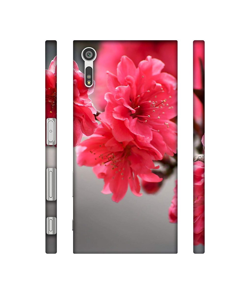 Amazon Brand - Solimo Designer Blossom Like Flower 3D Printed Hard Back Case Mobile Cover for Sony Xperia XZ Dual
