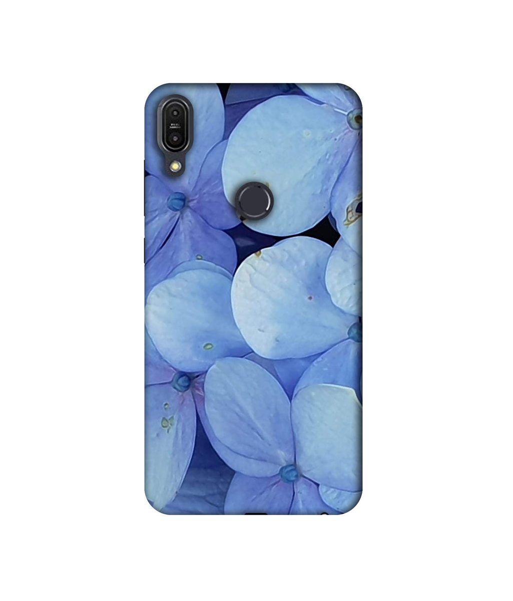 Amazon Brand - Solimo Designer Light Blue Flower Photography 3D Printed Hard Back Case Mobile Cover for Asus Zenfone Max Pro M1 ZB601KL