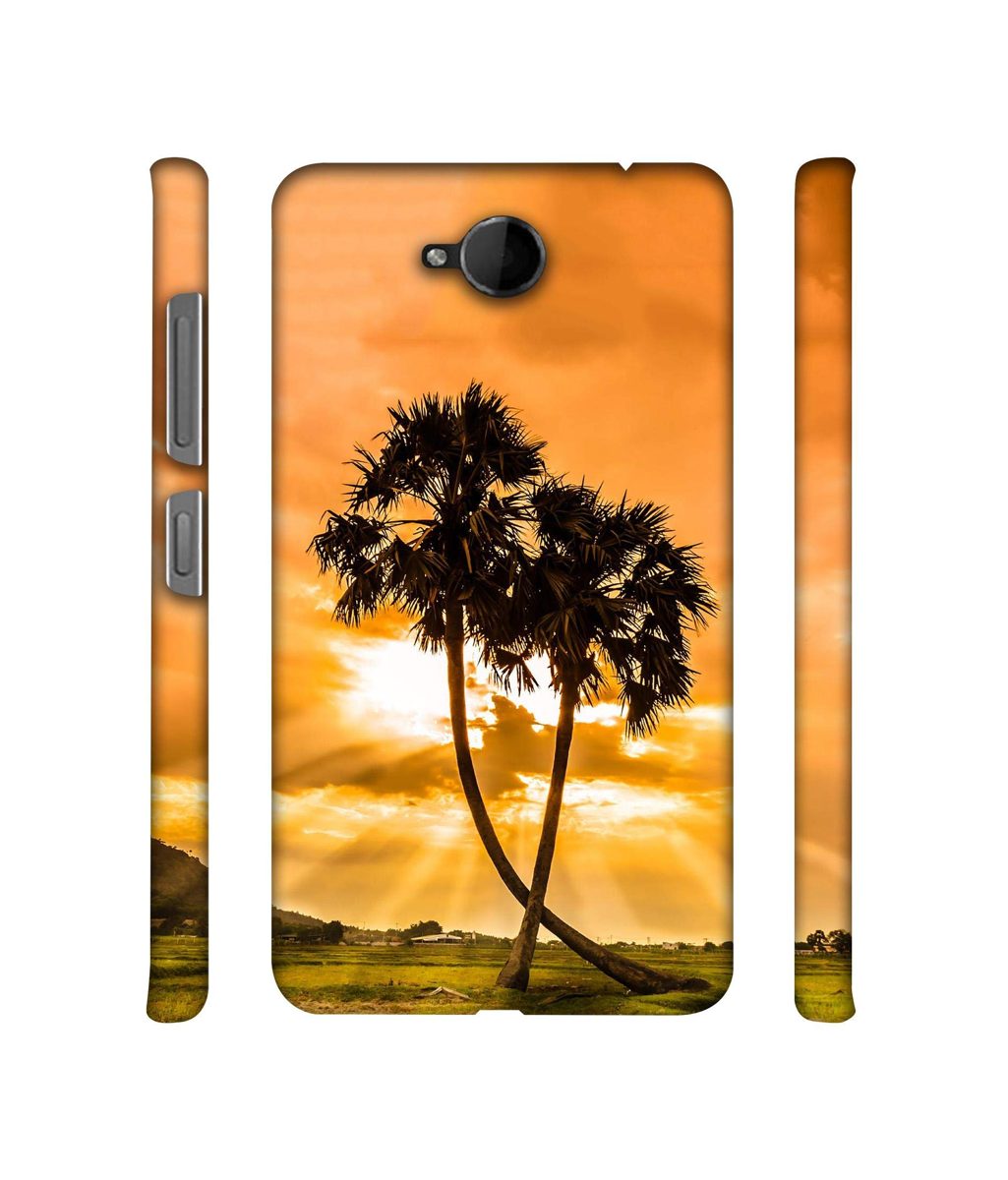 Amazon Brand - Solimo Designer SunSide View 3D Printed Hard Back Case Mobile Cover for Microsoft Lumia 650