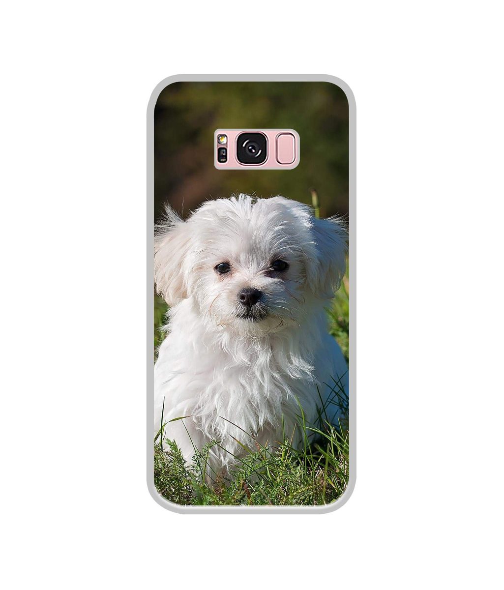 Amazon Brand - Solimo Designer White Dog UV Printed Soft Back Case Mobile Cover for Samsung Galaxy S8 Plus