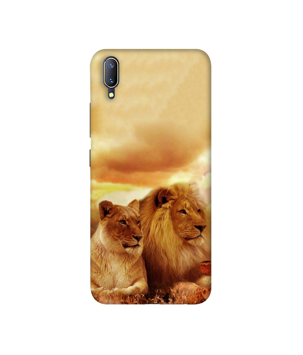 Amazon Brand - Solimo Designer Lion with Lioness 3D Printed Hard Back Case Mobile Cover for Vivo V11 Pro