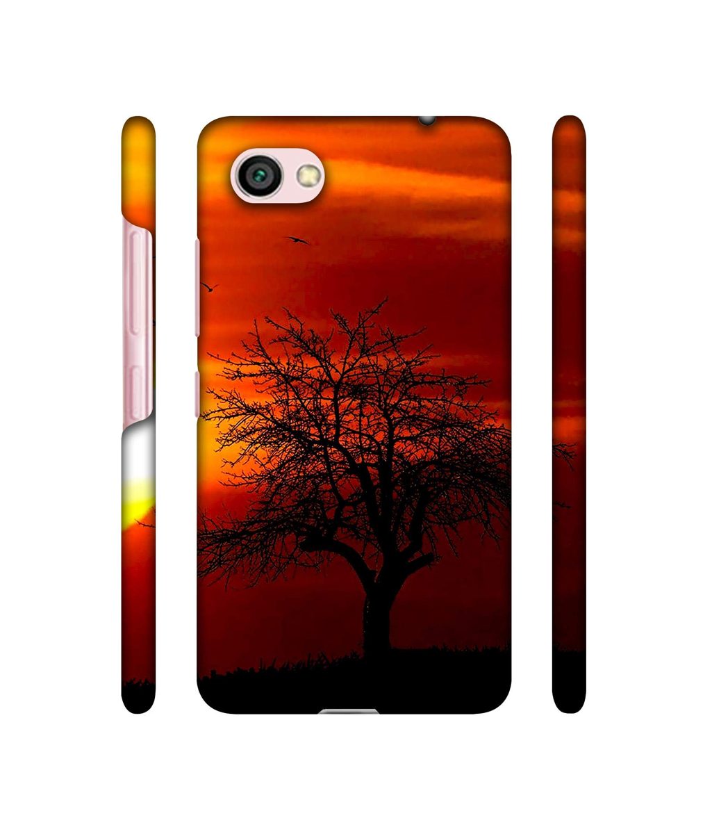 Amazon Brand - Solimo Designer Nature View 3D Printed Hard Back Case Mobile Cover for Xiaomi Redmi Y1 Lite