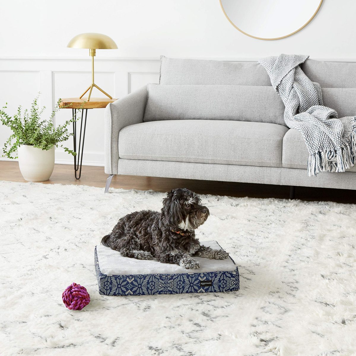 AmazonBasics Foam Pet Bed, Small, Blue