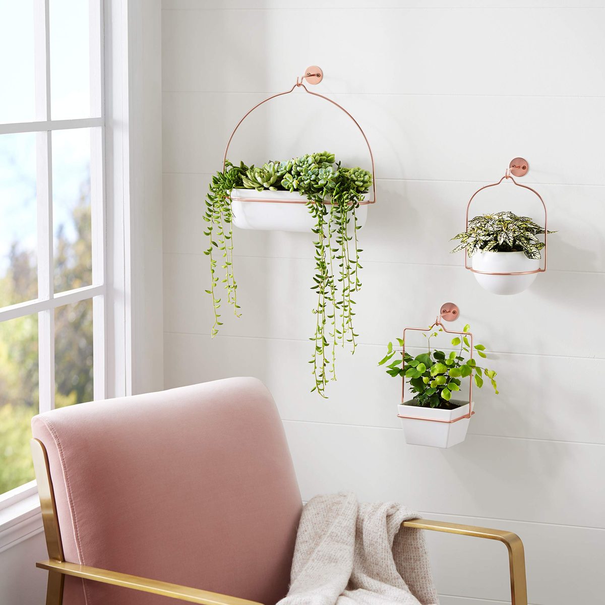 AmazonBasics square hanging planter