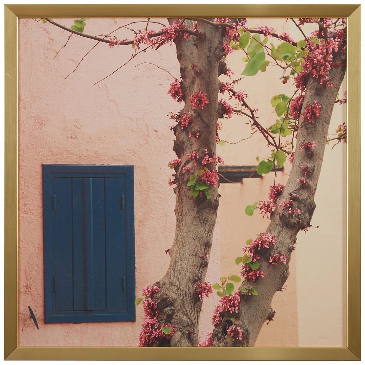 Amazon Brand – Rivet Pink Tree Blossoms at the Villa Photo Print Wall Art, Gold Wood Frame, 12" x 12"
