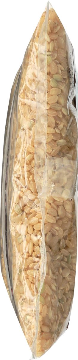 365 Everyday Value, Organic Short Grain Brown Rice, 32 oz