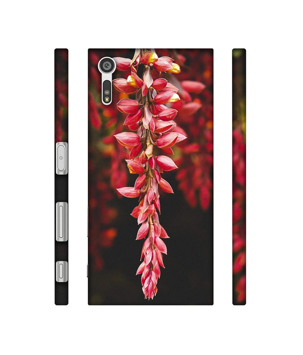 Amazon Brand - Solimo Designer Flowers Photograpy 3D Printed Hard Back Case Mobile Cover for Sony Xperia XZ Dual