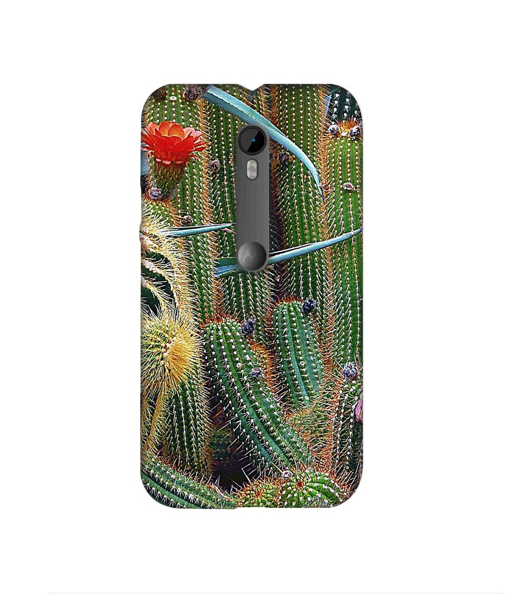 Amazon Brand - Solimo Designer Cactus 3D Printed Hard Back Case Mobile Cover for Motorola Moto G 3rd Generation
