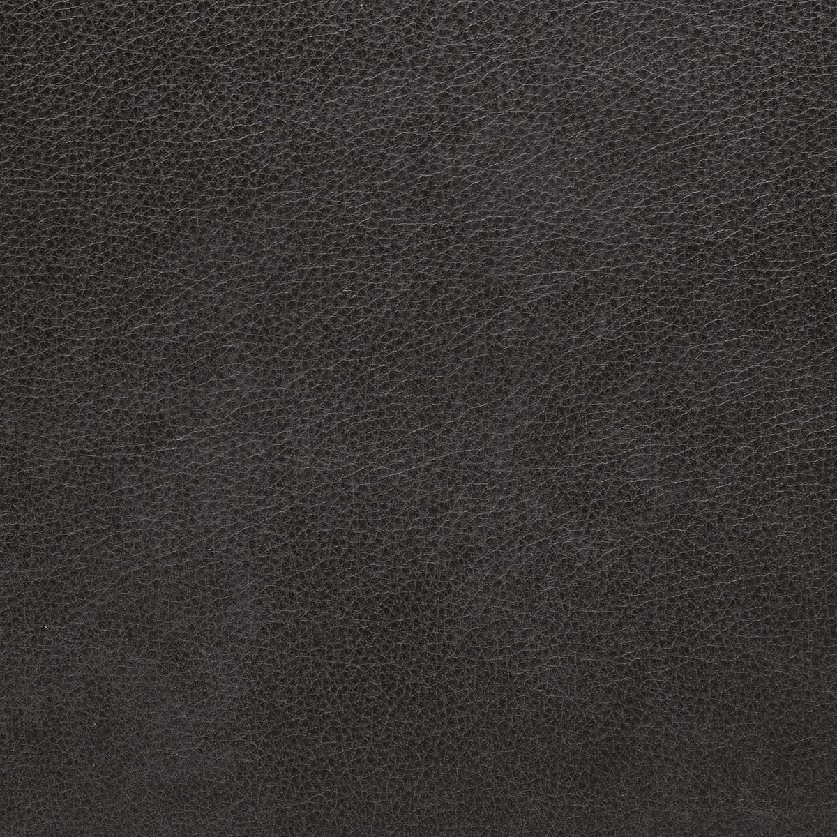 Amazon Brand – Stone & Beam Andover Studio Sofa Couch, 78"W, Charcoal Leather