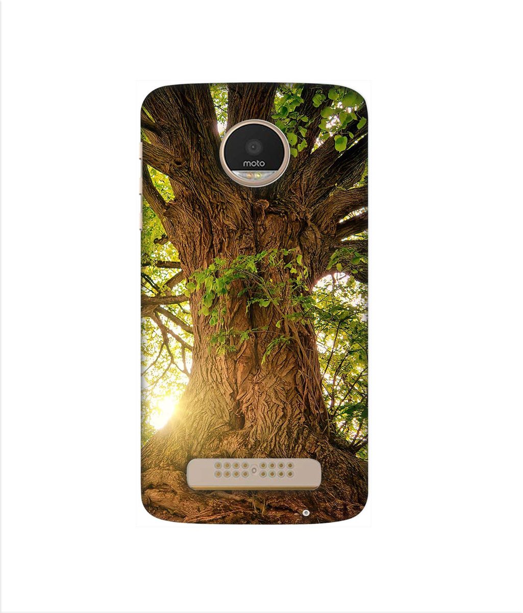 Amazon Brand - Solimo Designer Tree Trunk 3D Printed Hard Back Case Mobile Cover for Motorola Moto Z Play