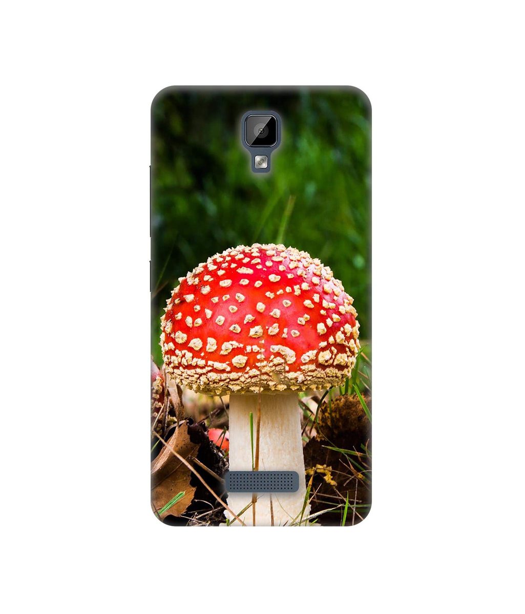 Amazon Brand - Solimo Designer Red Mushroom 3D Printed Hard Back Case Mobile Cover for Gionee P7 Max