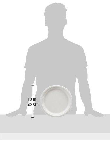 AmazonBasics 10-Inch Compostable Plates, 500-Count