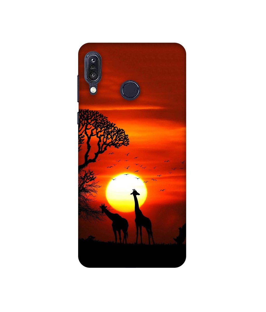 Amazon Brand - Solimo Designer Sunshade 3D Printed Hard Back Case Mobile Cover for Asus Zenfone Max M1 ZB555KL