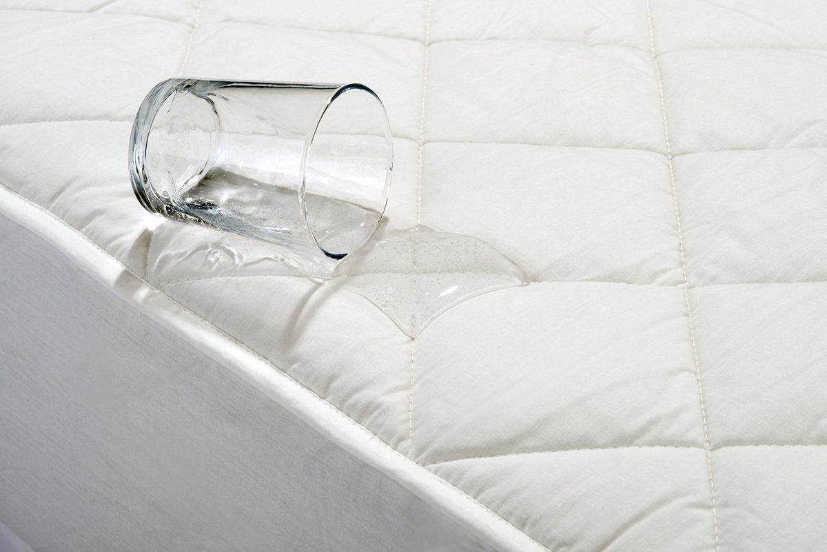 AmazonBasics Waterproof Quilted Mattress Protector