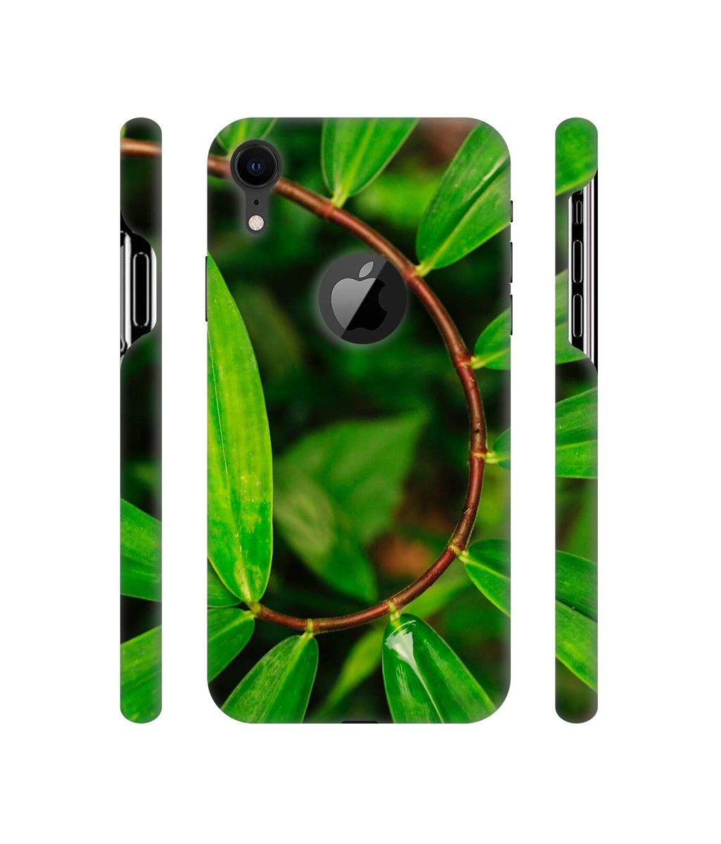 Amazon Brand - Solimo Designer Leaf Photography 3D Printed Hard Back Case Mobile Cover for Apple iPhone XR (Logo Cut)