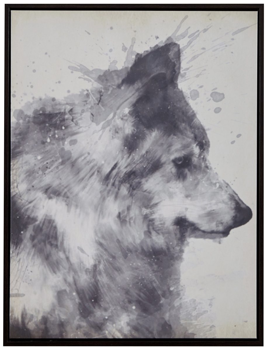 Splattered Grey Wolf Canvas