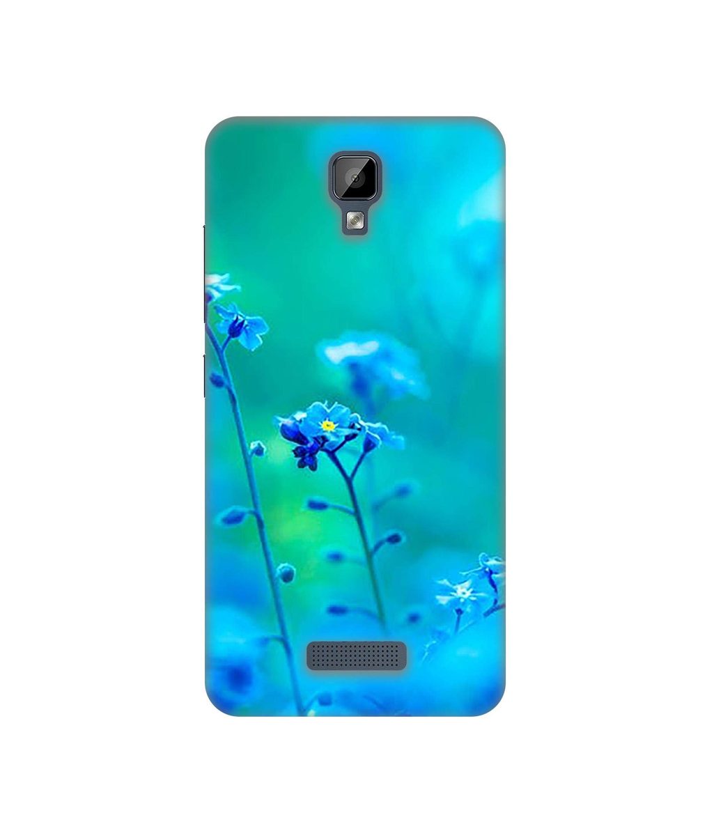 Amazon Brand - Solimo Designer Blue Flower 3D Printed Hard Back Case Mobile Cover for Gionee P7 Max